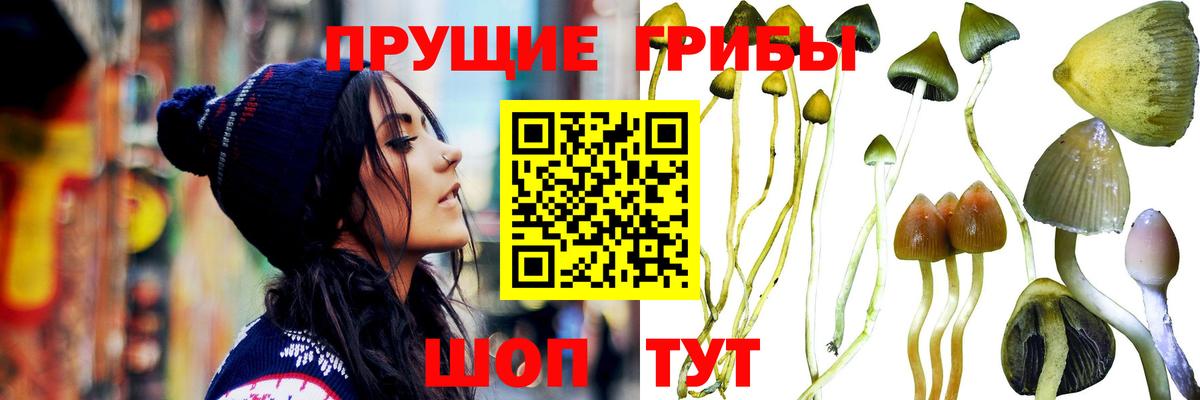 Псилоцибиновые грибы Psilocybe  Галлюциногенные грибы Psilocybine cubensis  Вход с VPN  наркошоп  Тула 